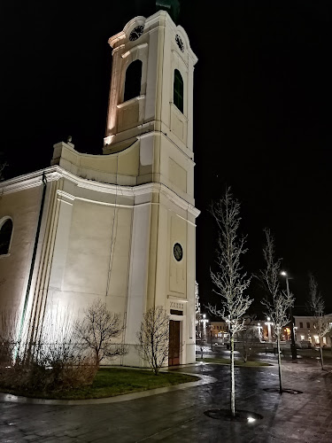 Liceul Teologic Romano-Catolic "Szent László" Oradea - <nil>