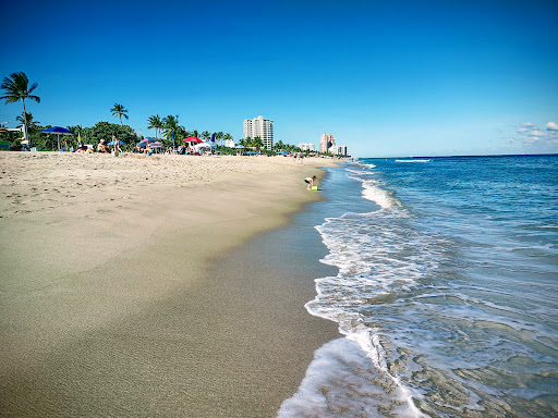 State Park «Hugh Taylor Birch State Park», reviews and photos, 3109 E Sunrise Blvd, Fort Lauderdale, FL 33304, USA