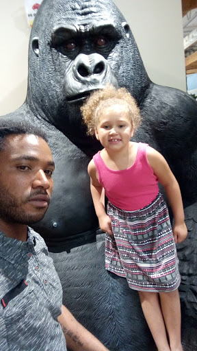 Furniture Store «Ashley HomeStore», reviews and photos, 251 Mundy St, Wilkes-Barre, PA 18702, USA