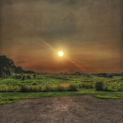 Nature Preserve «Schweitzer Woods Forest Preserve», reviews and photos, 16N690 Sleepy Hollow Rd, West Dundee, IL 60118, USA