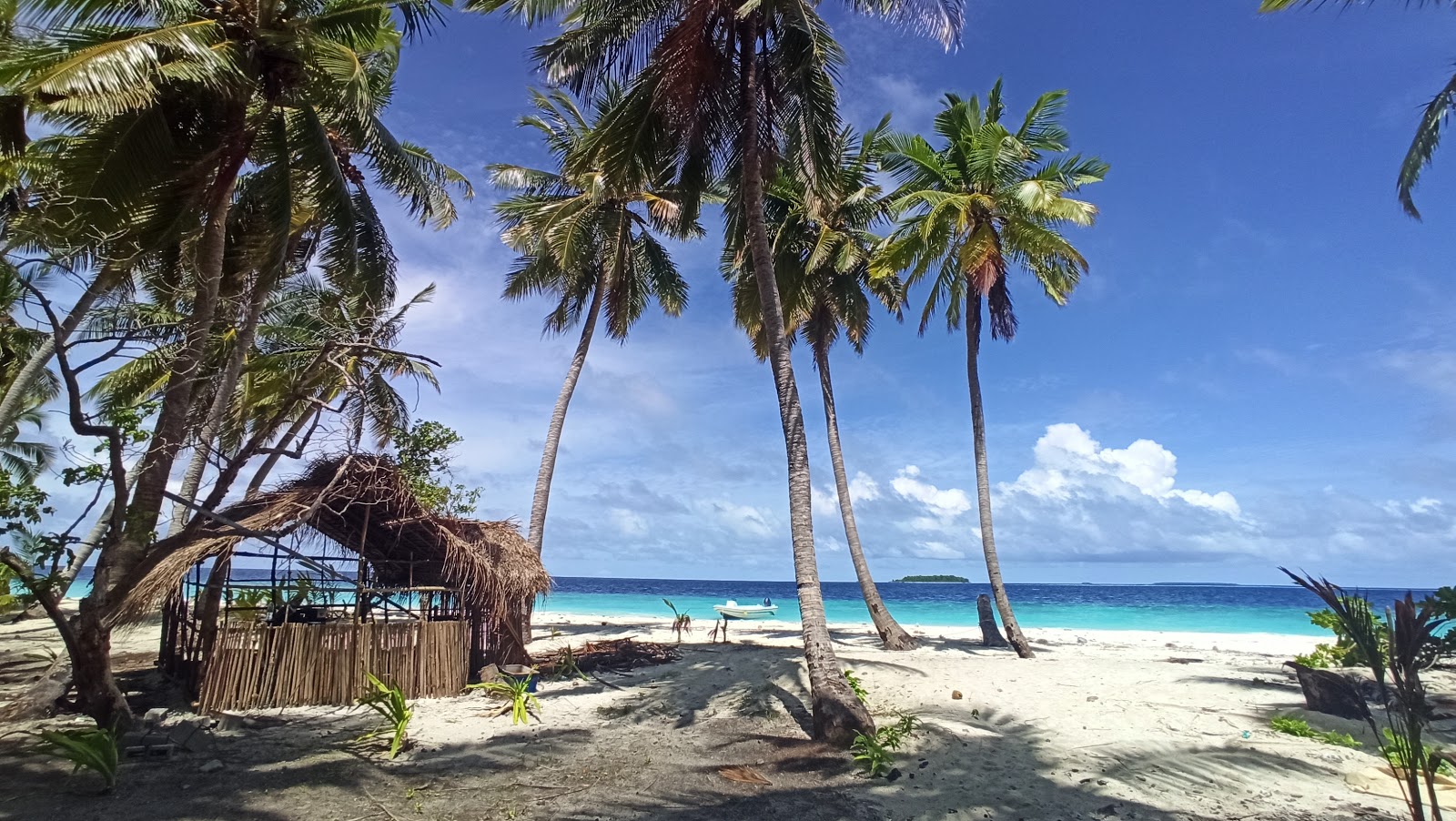 Foto de Faruhulhudhoo Beach - lugar popular entre os apreciadores de relaxamento