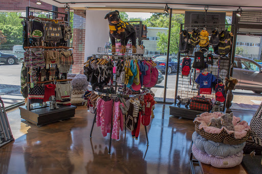 Pet Supply Store «Modern Pet», reviews and photos, 212-77 26th Ave, Bayside, NY 11360, USA