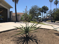 Alvarez landscaping - Photo 3 - Car repair in Los Angeles, CA, East Los Angeles