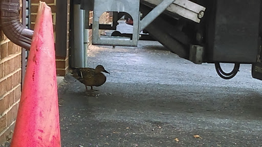 Auto Parts Store «Annapolis Auto Parts (Tech Parts Express)», reviews and photos, 1994 Moreland Pkwy # 3, Annapolis, MD 21401, USA