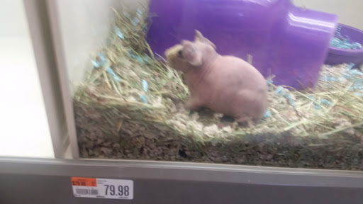 Pet Supply Store «Pet Supplies Plus», reviews and photos, 1137 Annapolis Rd, Odenton, MD 21113, USA