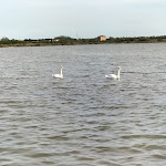 Photo n°1 de l'avis de Aurora.i fait le 29/04/2023 à 09:08 sur le  Hotel Rurale Canneviè à Codigoro