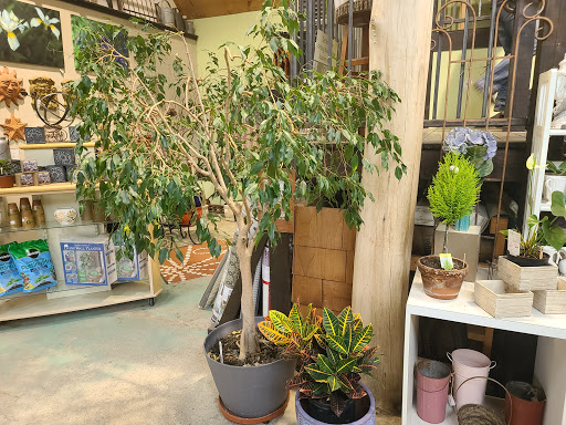 Garden Center «Victoria Gardens», reviews and photos, 1 Cottekill Rd, Rosendale, NY 12472, USA