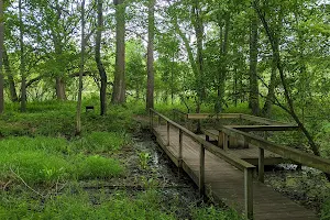 Mendon Ponds Park image