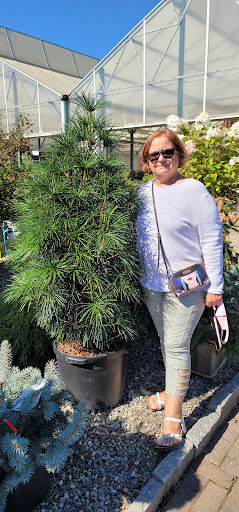 Garden Center «Sixteen Acres Garden Center», reviews and photos, 1359 Wilbraham Rd, Springfield, MA 01119, USA