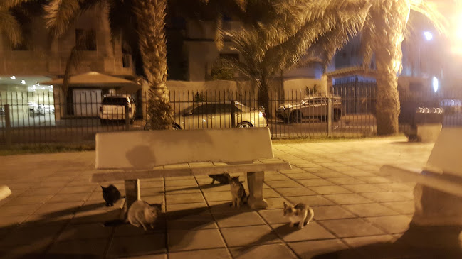 حديقة الروضة - أخرى