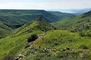 Gamla Nature Reserve image