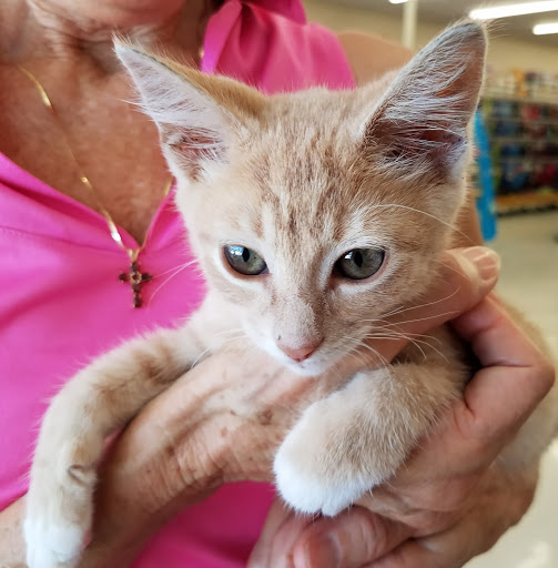 Pet Supply Store «Pet Supplies Plus», reviews and photos, 1258 Northlake Blvd, Lake Park, FL 33403, USA