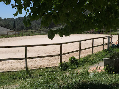 Centre Équestre Poney Club Teyran Grammont à Teyran