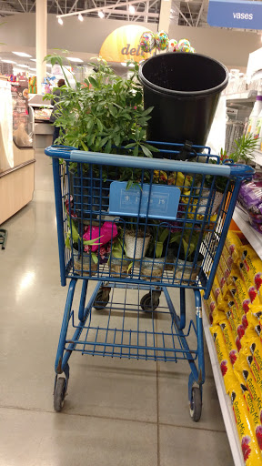 Grocery Store «Meijer», reviews and photos, 7157 E Saginaw St, East Lansing, MI 48823, USA