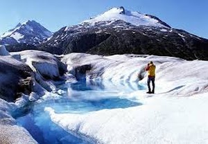 Mendenhall Glacier Visitor Center - photo 33