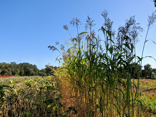 Farm «Oak Hill Farm», reviews and photos, 15101 CA-12, Glen Ellen, CA 95442, USA