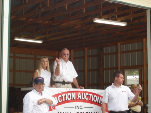 Action Auctions Inc