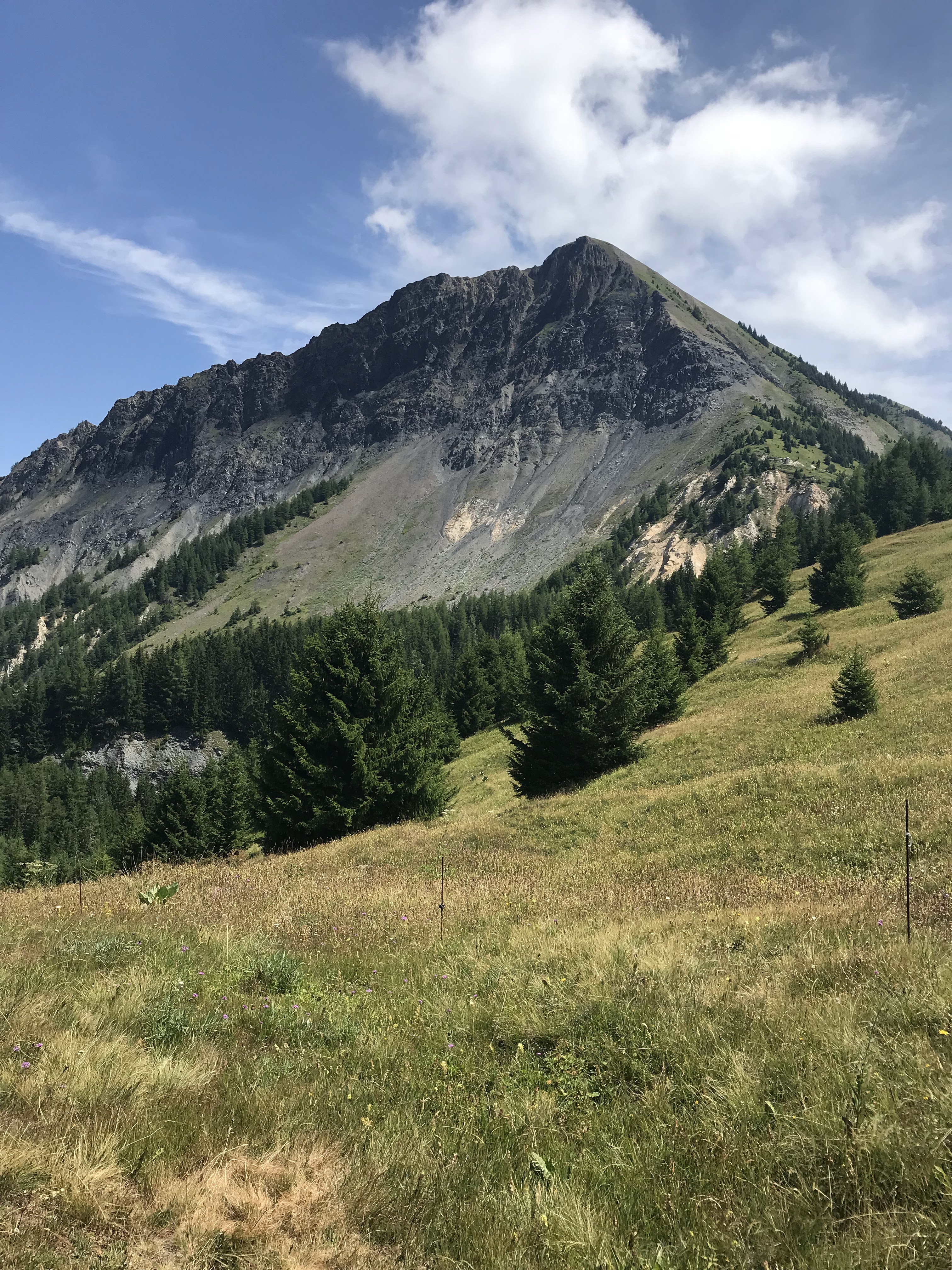 Photo n° 6 de l'avis de Vanessa.. fait le 02/08/2019 à 14:07