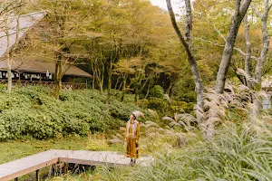 Rokko Alpine Botanical Garden image