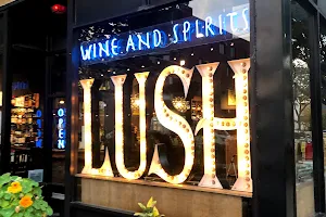 Lush Wine & Spirits - Roscoe Village image
