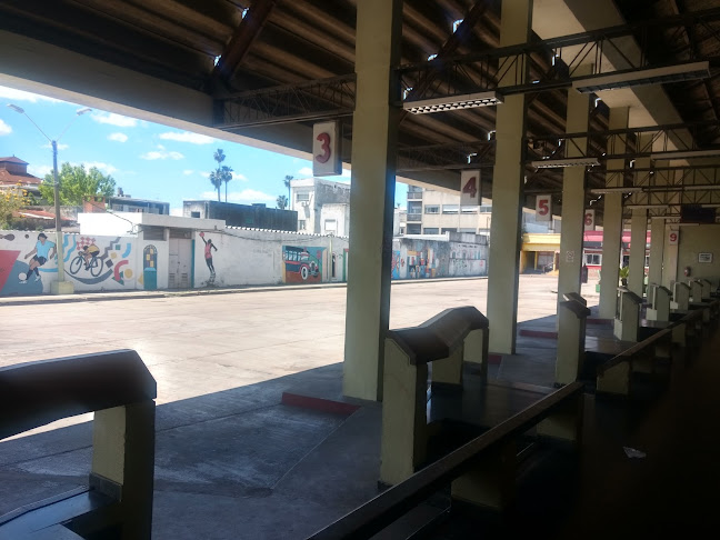 Opiniones de Terminal de Omnibus en Lavalleja - Servicio de transporte