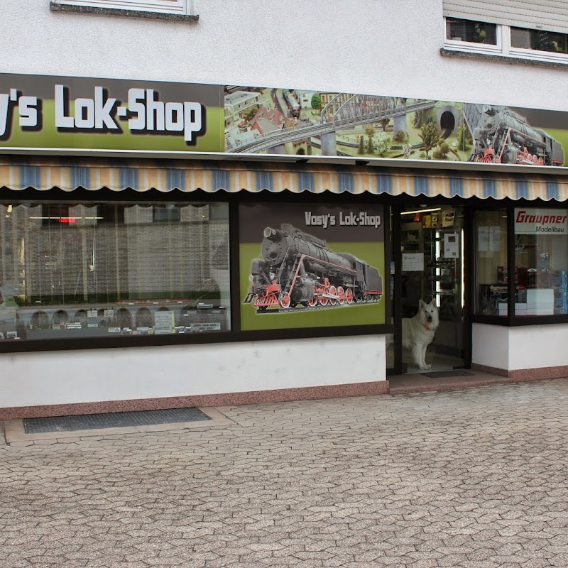 Vosys Lok-Shop