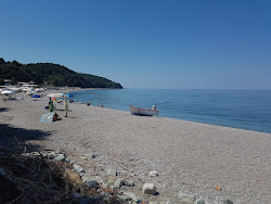 Koutsoupia main beach'in fotoğrafı imkanlar alanı