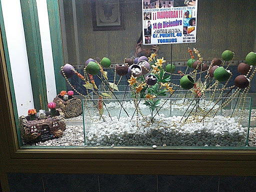 Información y opiniones sobre MORENO de Torrijos