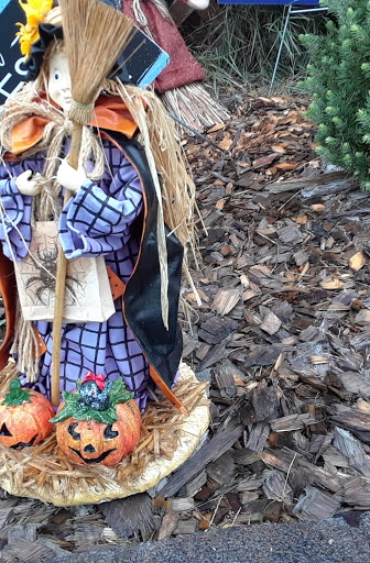 Thrift Store «My Sister’s Place & My Sisters Attic», reviews and photos