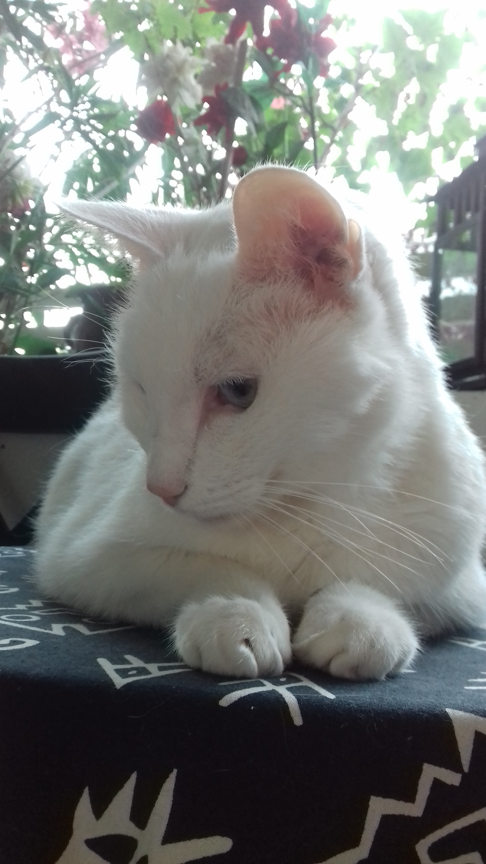 Photo n° 3 de l'avis de Catherine.a fait le 11/03/2019 à 08:22
