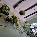 Photo n°5 de l'avis de Serena.i fait le 21/08/2022 à 09:41 sur le  The Botanist à Vasto