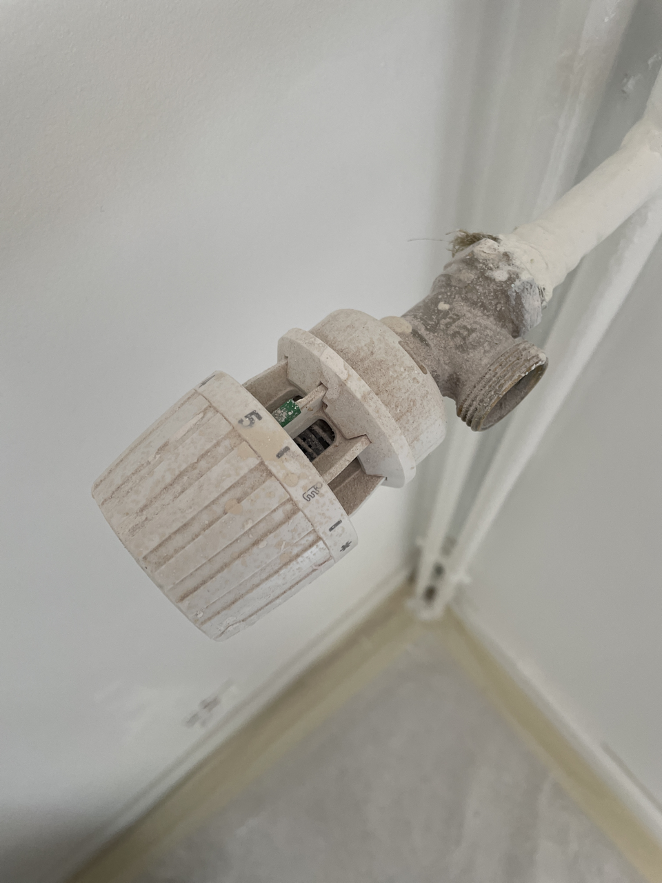 Photo n° 3 de l'avis de Dominique. fait le 15/02/2024 à 16:29