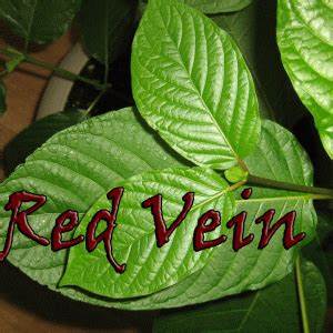 Vaporizer Store «Valley Smoke Shop», reviews and photos, 10960 S Eastern Ave #106, Henderson, NV 89052, USA