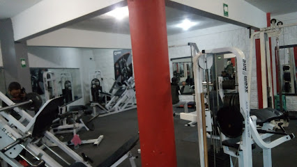 FITNESS BODY FACTORY