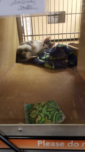 Pet Supply Store «PetSmart», reviews and photos, 5005 S 74th St, Greenfield, WI 53220, USA