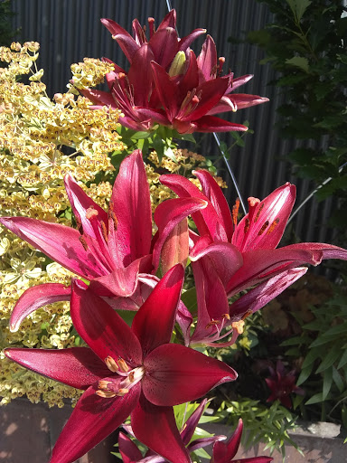 Market «Pybus Public Market», reviews and photos, 3 N Worthen St, Wenatchee, WA 98801, USA