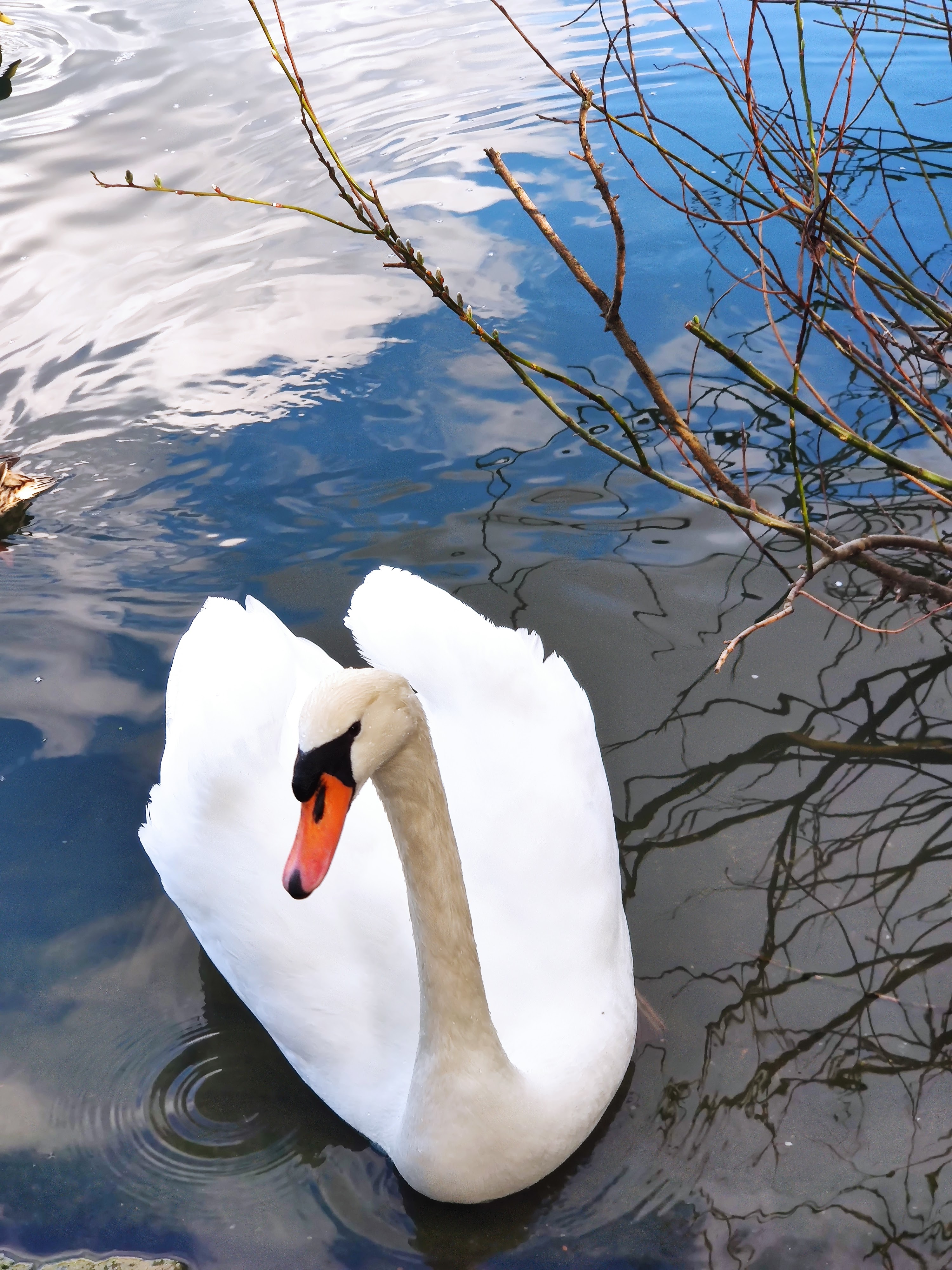Photo n° 2 de l'avis de Marc.l fait le 21/04/2021 à 10:14