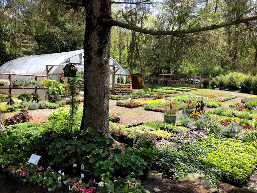 Garden Center «Stonewall Garden Center», reviews and photos, 4675 PA-447, Canadensis, PA 18325, USA