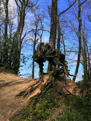 Jardin public à Sanvignes-les-Mines