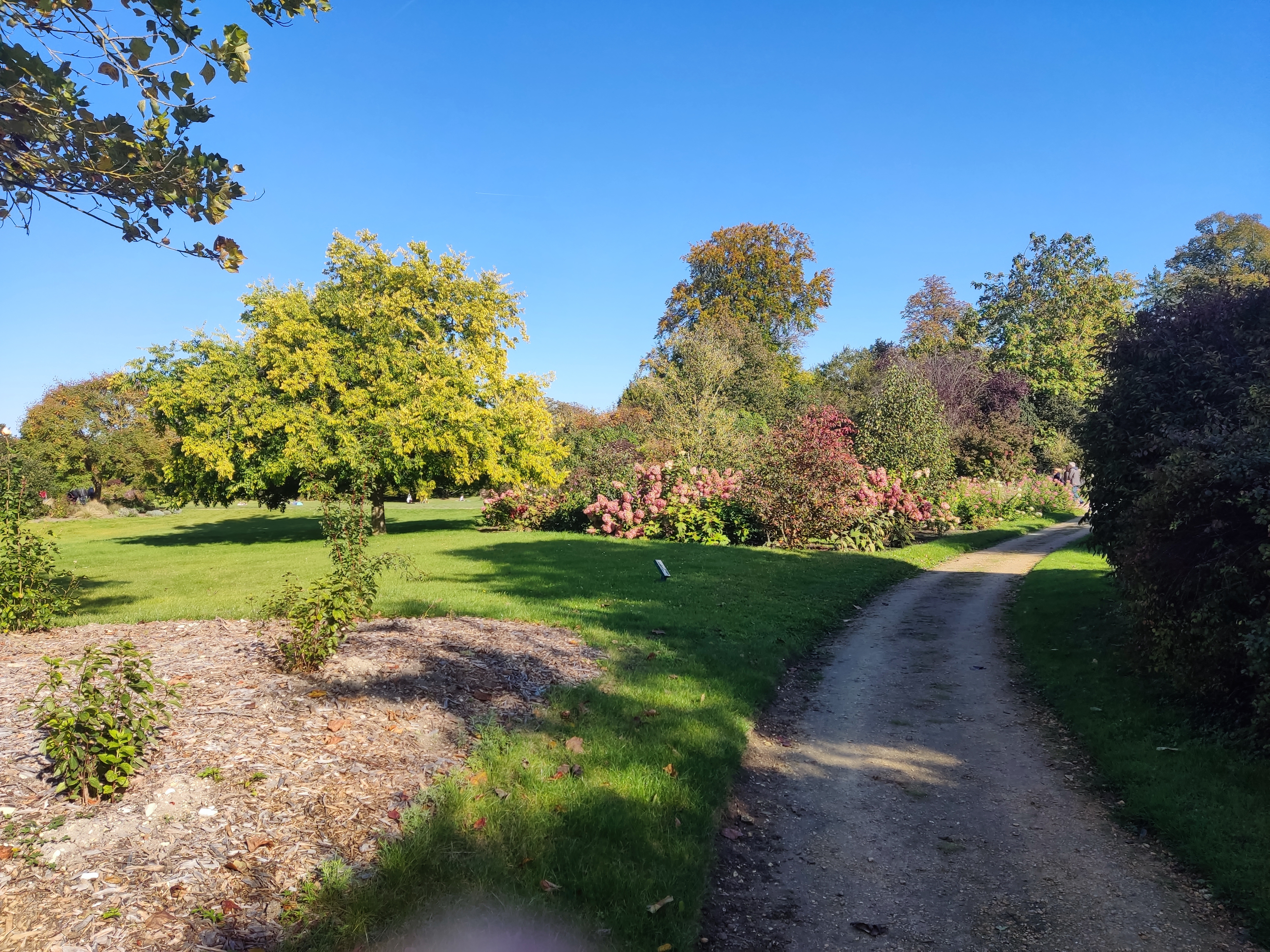 Photo n° 6 de l'avis de Mikkonen.e fait le 19/10/2021 à 08:24