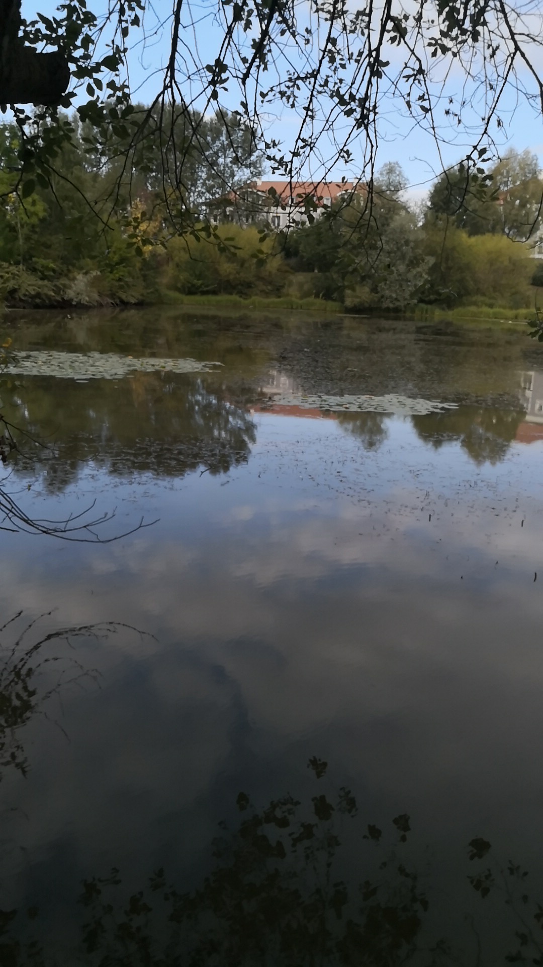 Photo n° 1 de l'avis de Precillia.a fait le 08/09/2019 à 07:40