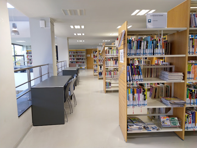 Lebbeke Hoofdbibliotheek - Dendermonde