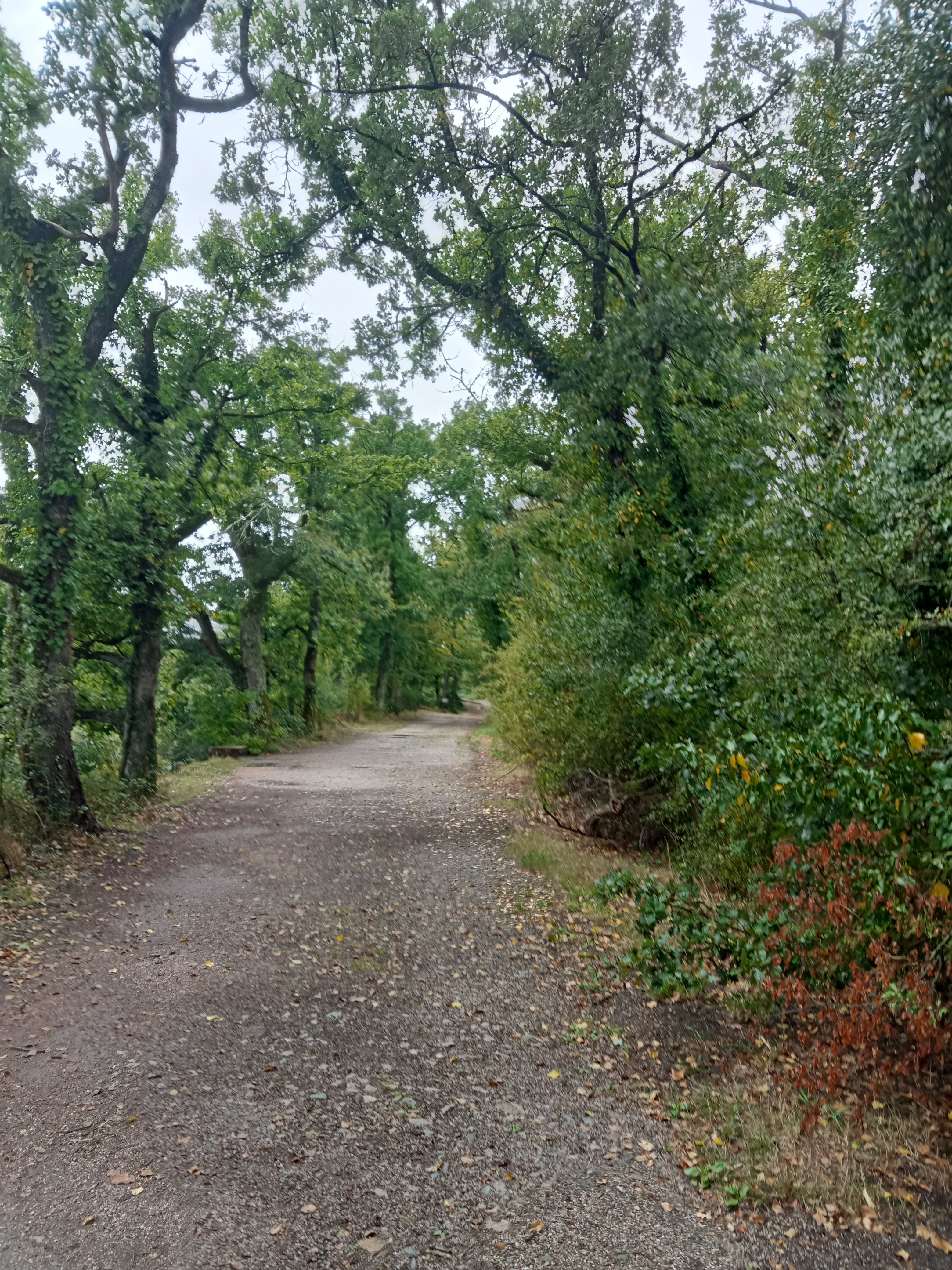 Photo n° 14 de l'avis de Marlène.a fait le 22/09/2023 à 22:10