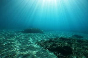 AegeanSeals Diving Center image