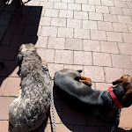 Photo n°6 de l'avis de Ole.r fait le 24/05/2021 à 12:26 sur le  Cafebar Hüxstraße - Lübeck à Lübeck