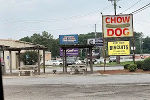 Chow Dog image