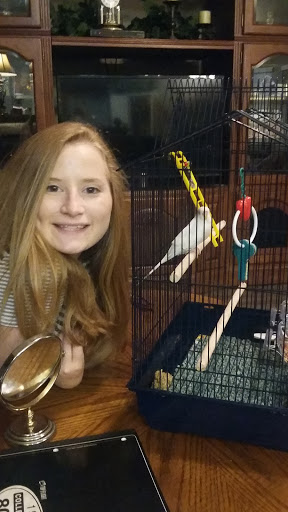 Pet Supply Store «Petco Animal Supplies», reviews and photos, 1250 N Germantown Pkwy #112, Cordova, TN 38016, USA