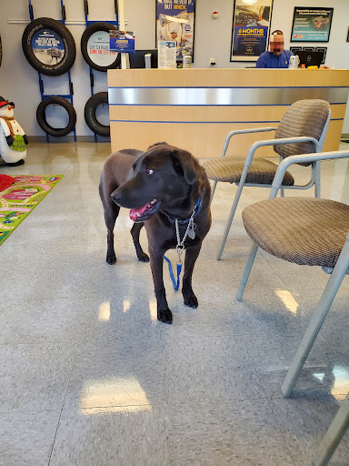 Auto Repair Shop «Falcon Auto Service Center», reviews and photos, 14195 US-24, Peyton, CO 80831, USA