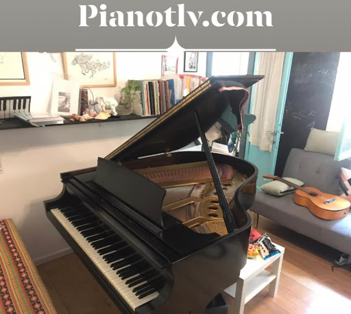 PianoTLV.com - הסטודיו לפסנתר של גלעד חצב