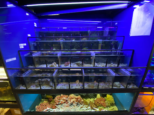 Pet Store «Fin & Feather Pet Center, Inc.», reviews and photos, 5208 Lakeside Ave, Richmond, VA 23228, USA